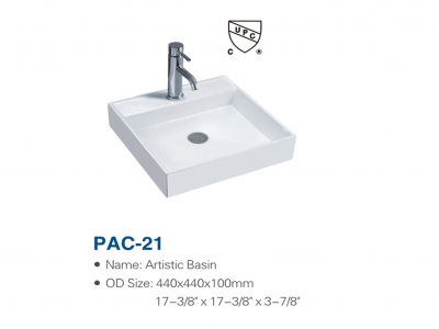 Aritistic Basin