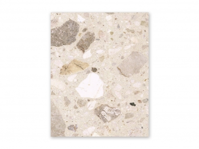 Terrazzo Sample